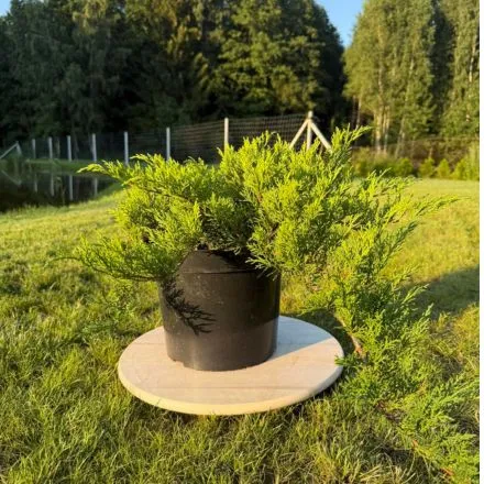 Pamiškės medelynas, Facebook