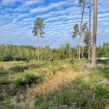 Pamiškės medelynas, Facebook