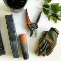 Sodo prekės, kategorijos nuotrauka