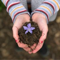 Trašos, kategorijos nuotrauka