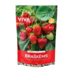 BRAŠKĖMS